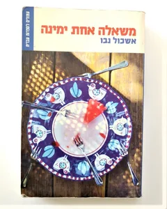 ספר - משאלה אחת ימינה