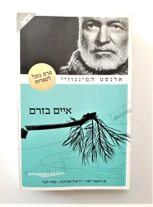 ספר - איים בזרם