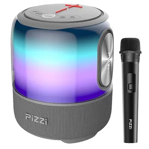 רמקול PiZZi Thunder Bass עוצמתי 60W סאונד מדהים, תאורת לד מתחלפת עם מיקרופון אלחוטי, PZ 9800 זיאוס