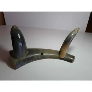 זוג קרניים לתליה