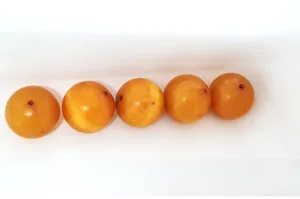 חרוזי ענבר דחוס
